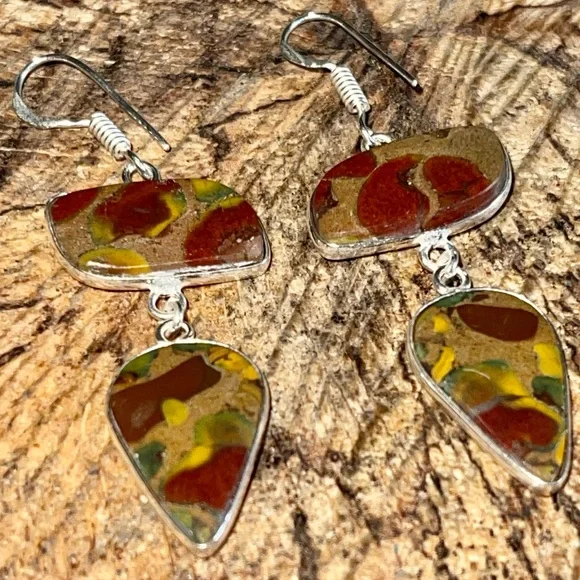 Ajooba Fruit Jasper Earrings 2” - Picture 2 of 4